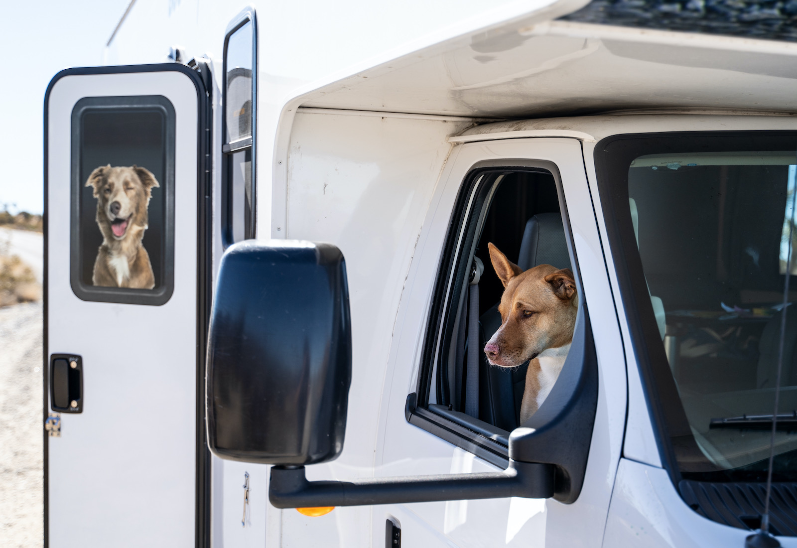do you need a cdl to drive an rv