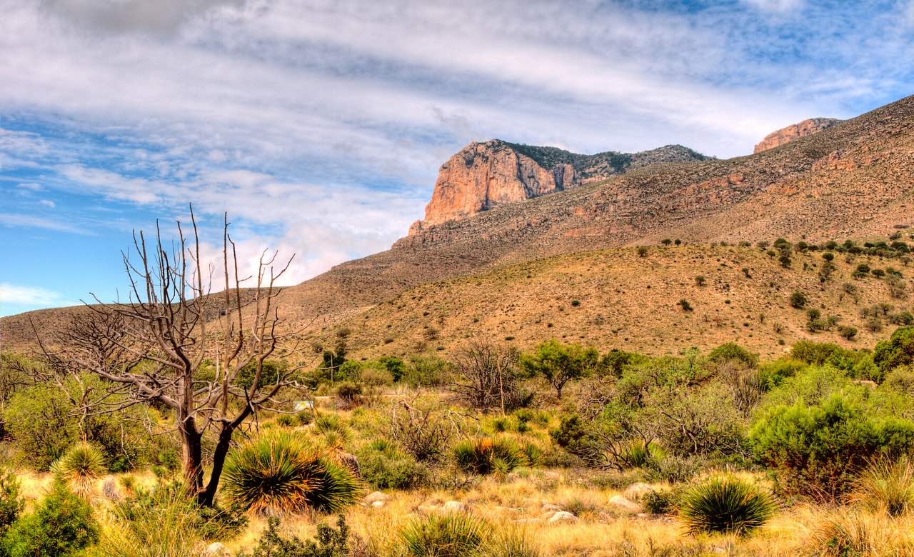 Cruise-America-Tips-on-Visiting-Guadalupe-Mountains-National-Park.jpg