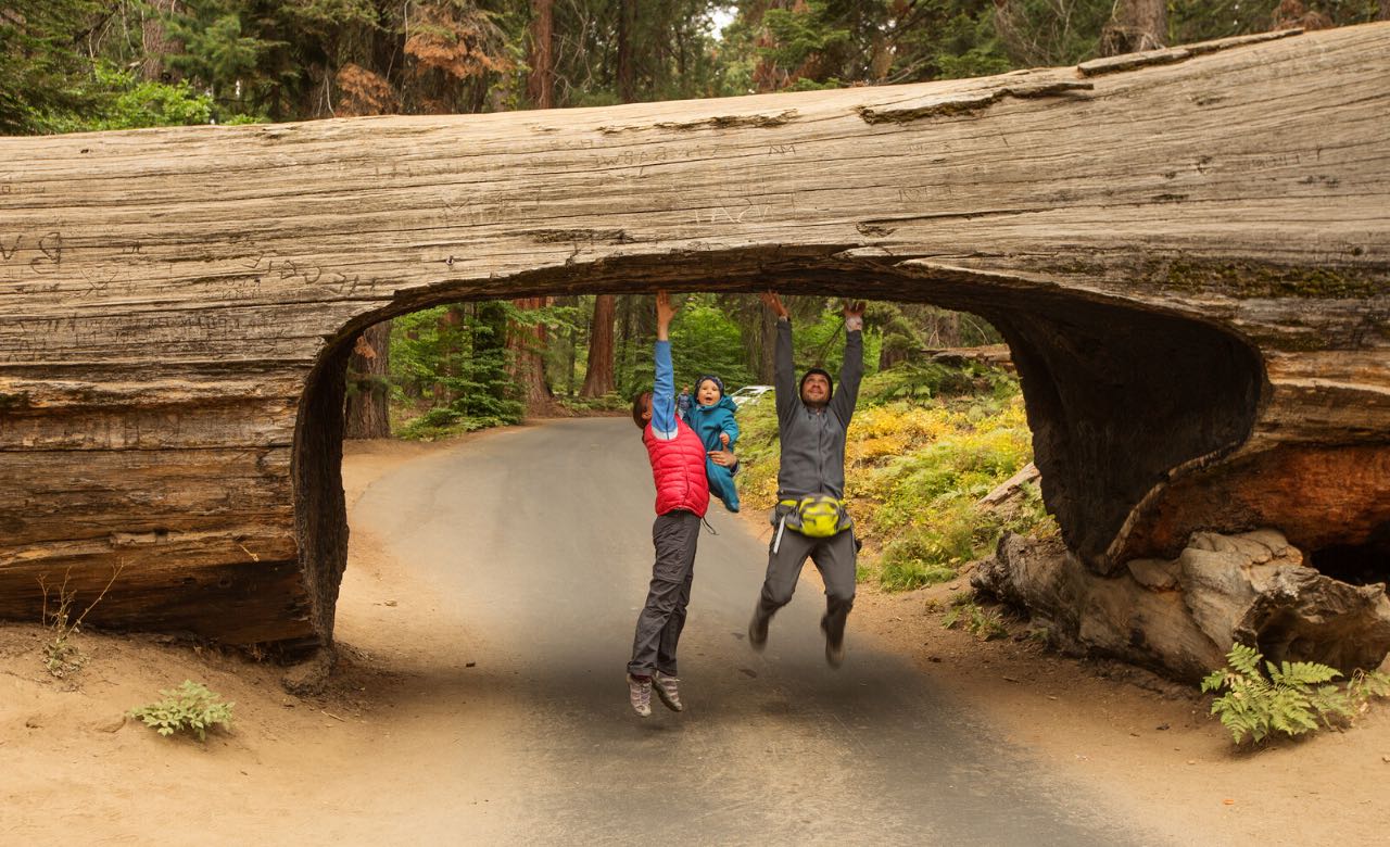 Cruise-America-Things-to-Do-in-Sequoia-National-Park.jpg Cruise-America-Things-to-Do-in-Sequoia-National-Park.jpg