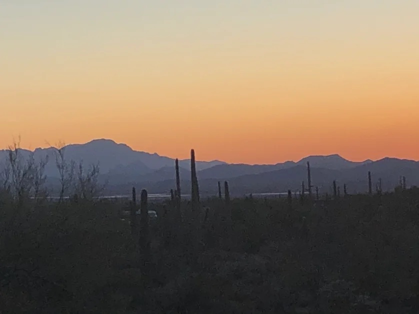 Gilbert Ray Campground near Tucson