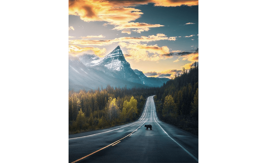 rv-rental_canadian-road-trips-2020_Icefields-Pathways.png