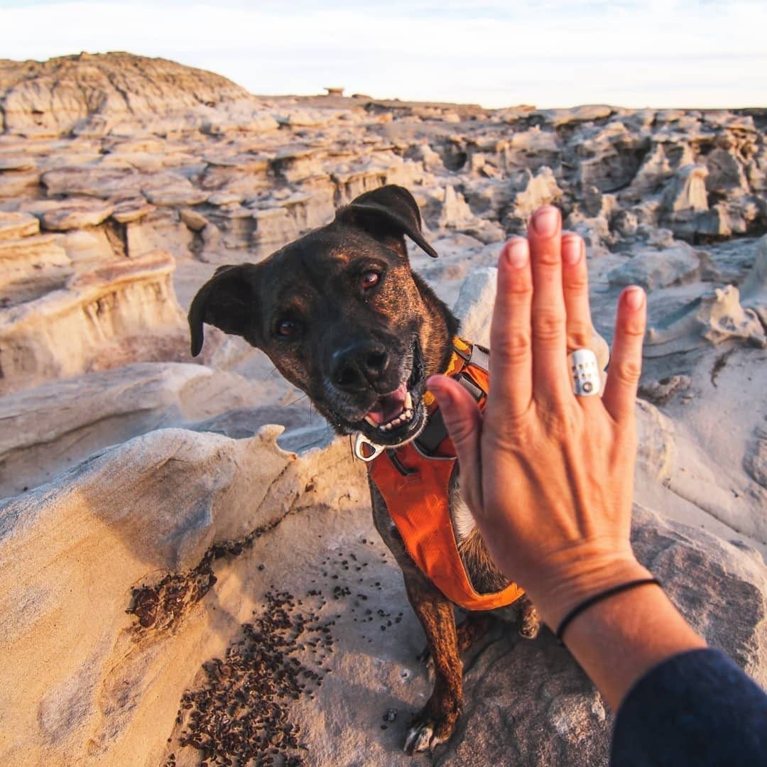 Cruise-America-Things-to-Do-in-Badlands-National-Park-trustyourtrail.jpg