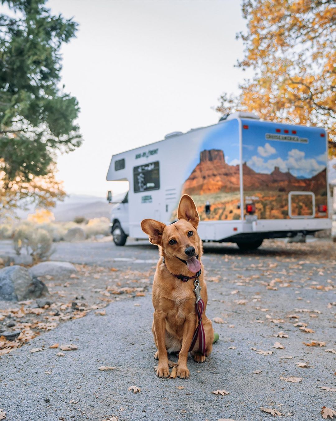 Cruise-America-Bryce-Canyon-Campground.jpg