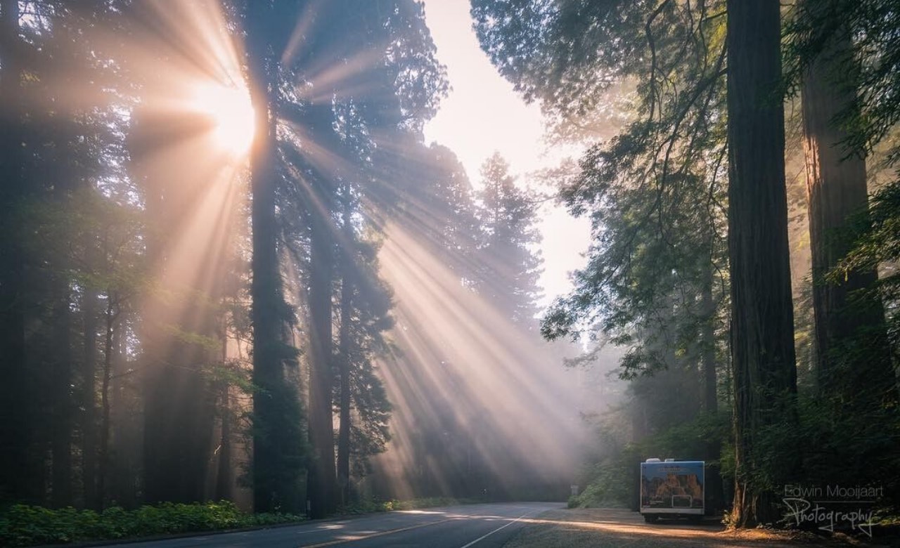 Cruise-America-Best-Time-to-Visit-Redwood-National-Park-edwin-mooijaart.jpg