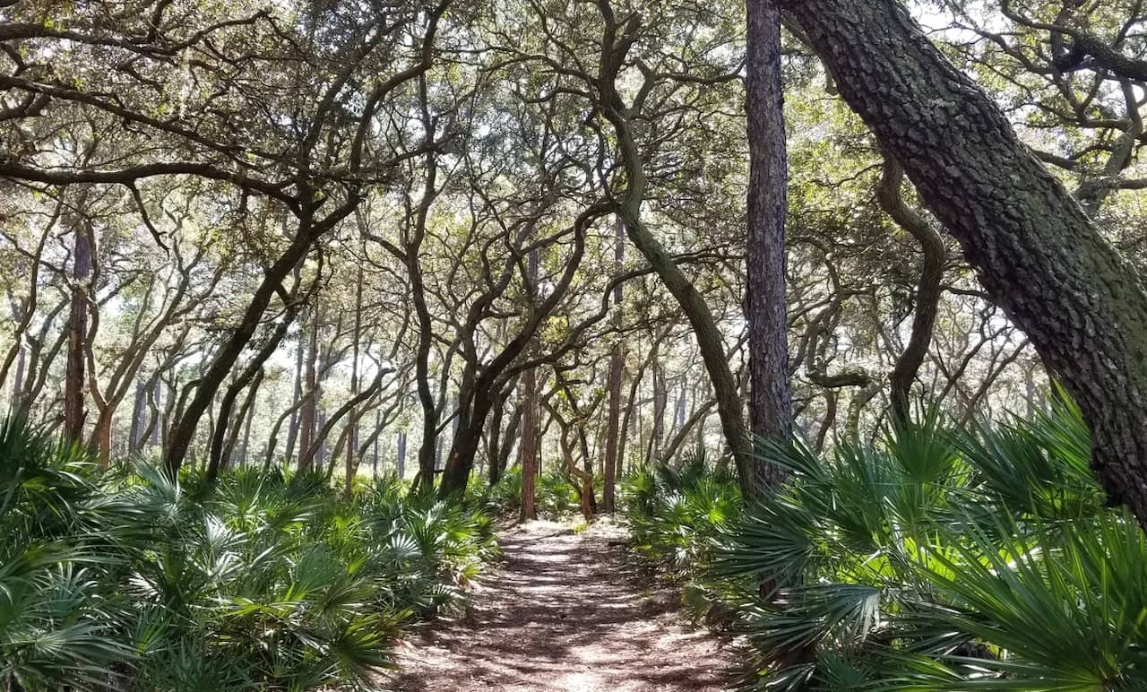 Best-RV-Campgrounds-in-Florida-5.jpg Wekiwa Springs State Park