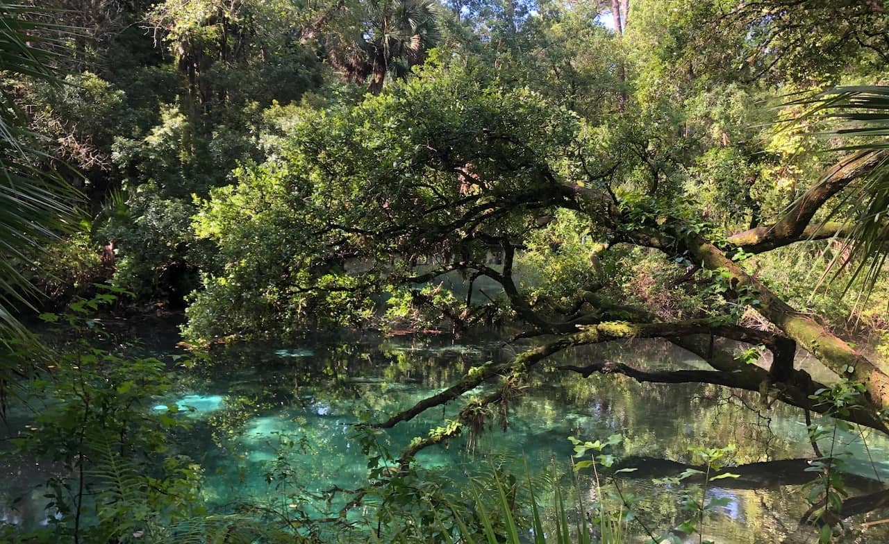 Best-RV-Campgrounds-in-Florida-8.jpg Juniper Springs Rec Area