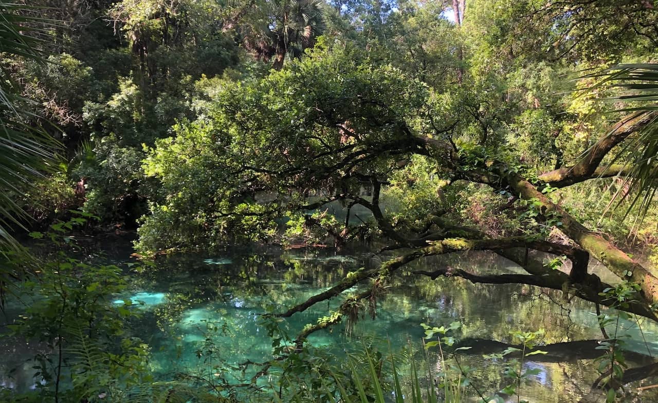 Juniper Springs Rec Area