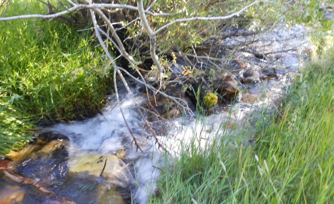 Great Basin/Upper Lehman Creek Campground