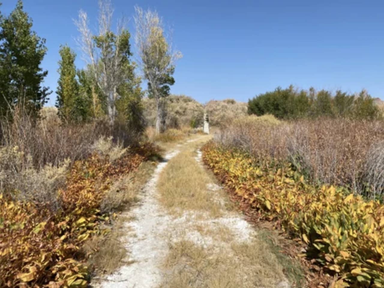 Pahranagat National Wildlife Refuge