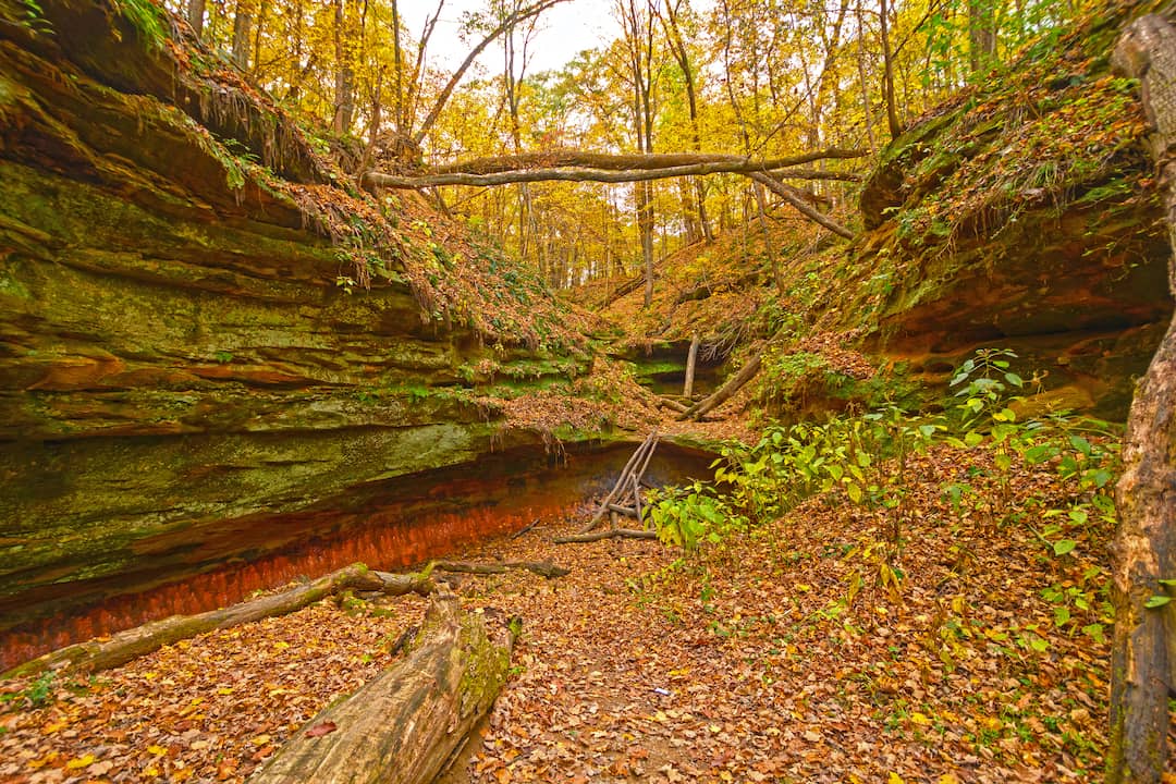elinor-bedell-state-park-2.jpg elinor-bedell-state-park-2.jpg