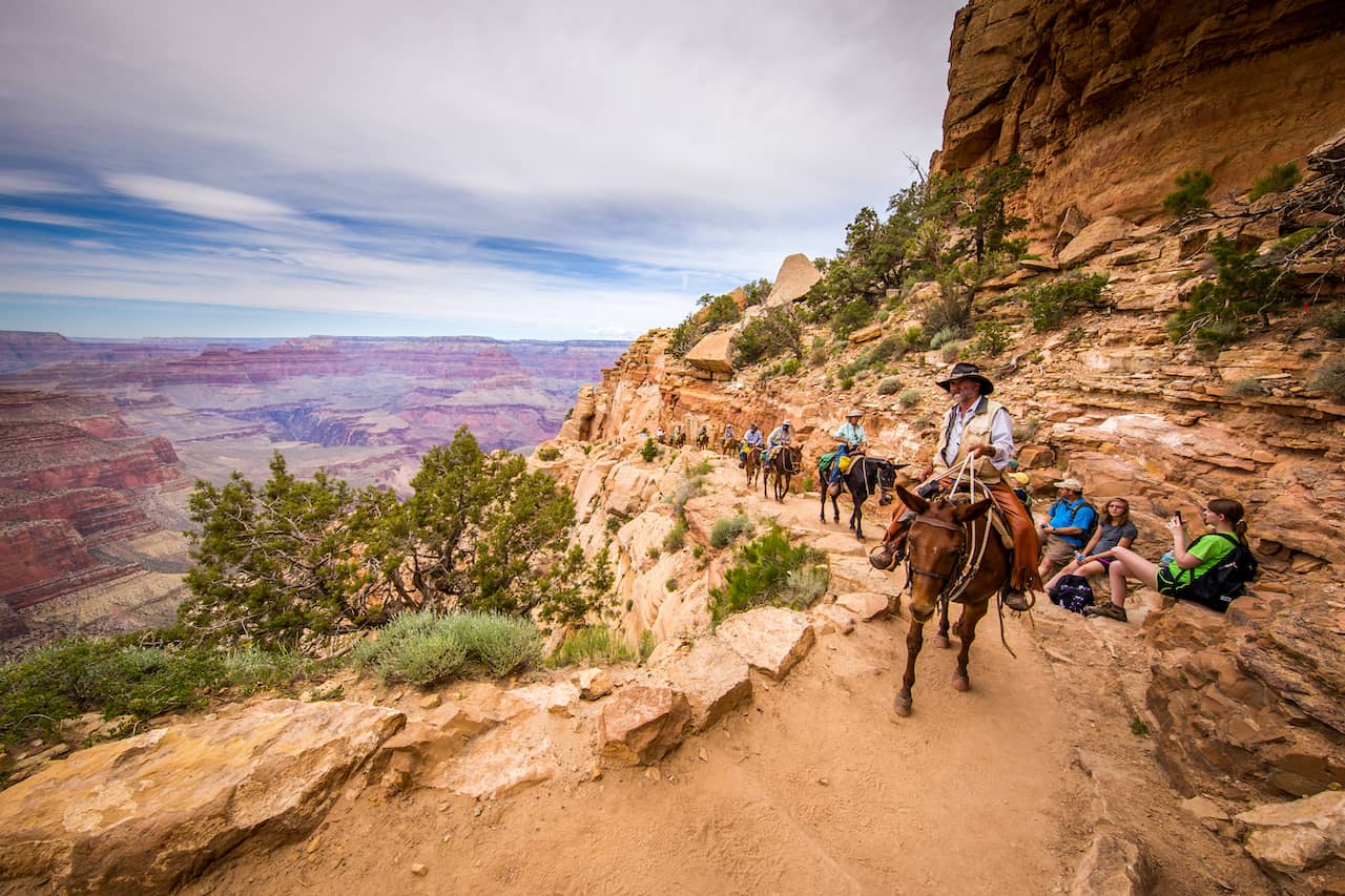 grand canyon horseback camping tours