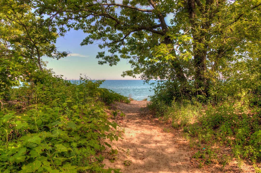 illinois-beach-state-park.jpg