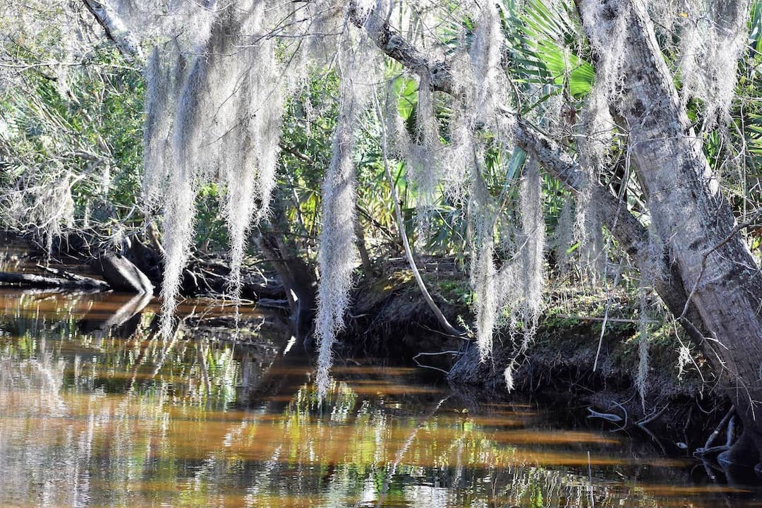 national-parks-louisiana.jpg