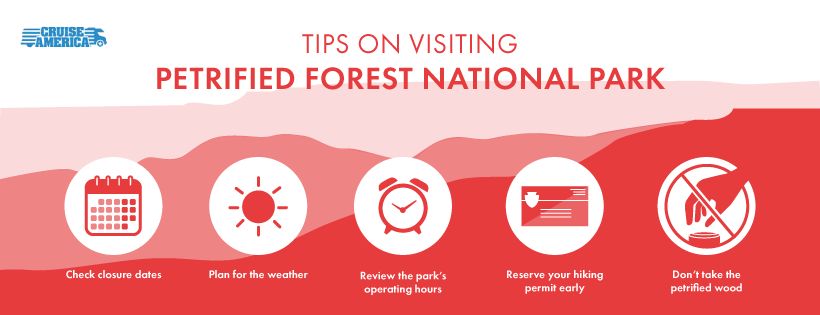 Tips-on-Visiting-Petrified-Forest-National-Park.png