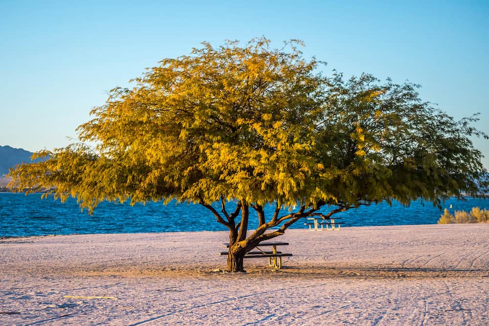 RV-Camping-Near-Lake-Havasu-State-Park-3.jpg RV-Camping-Near-Lake-Havasu-State-Park-3.jpg