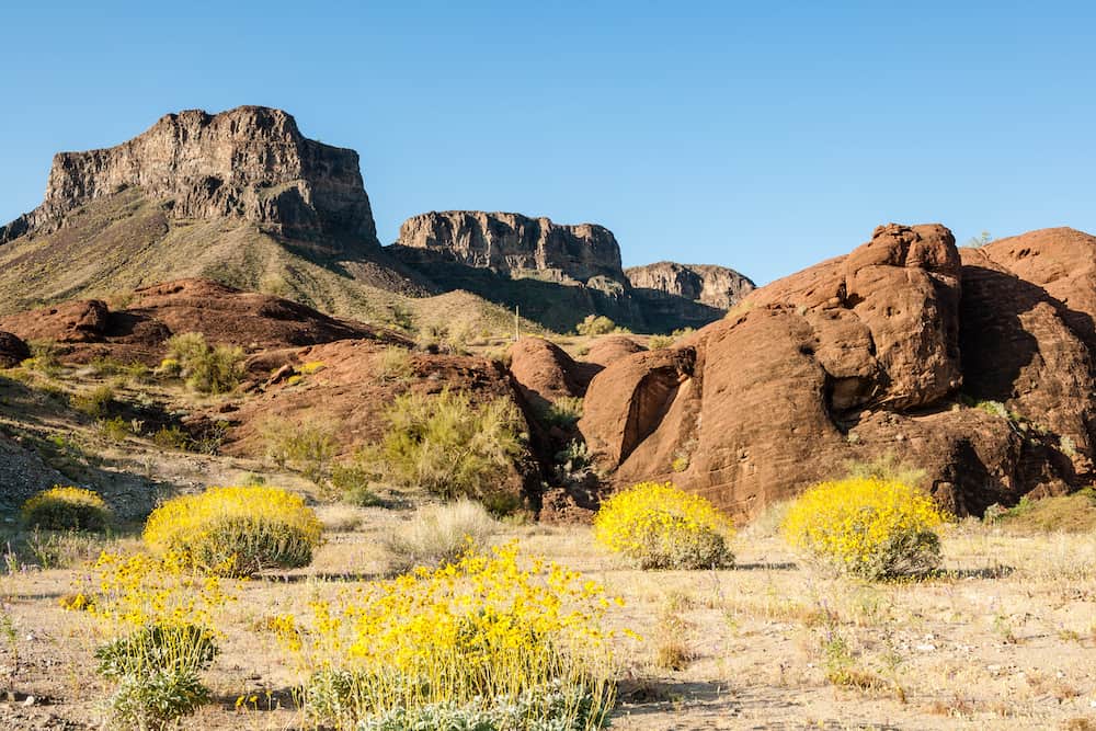 RV-Camping-Near-Lake-Havasu-State-Park.jpg RV-Camping-Near-Lake-Havasu-State-Park.jpg