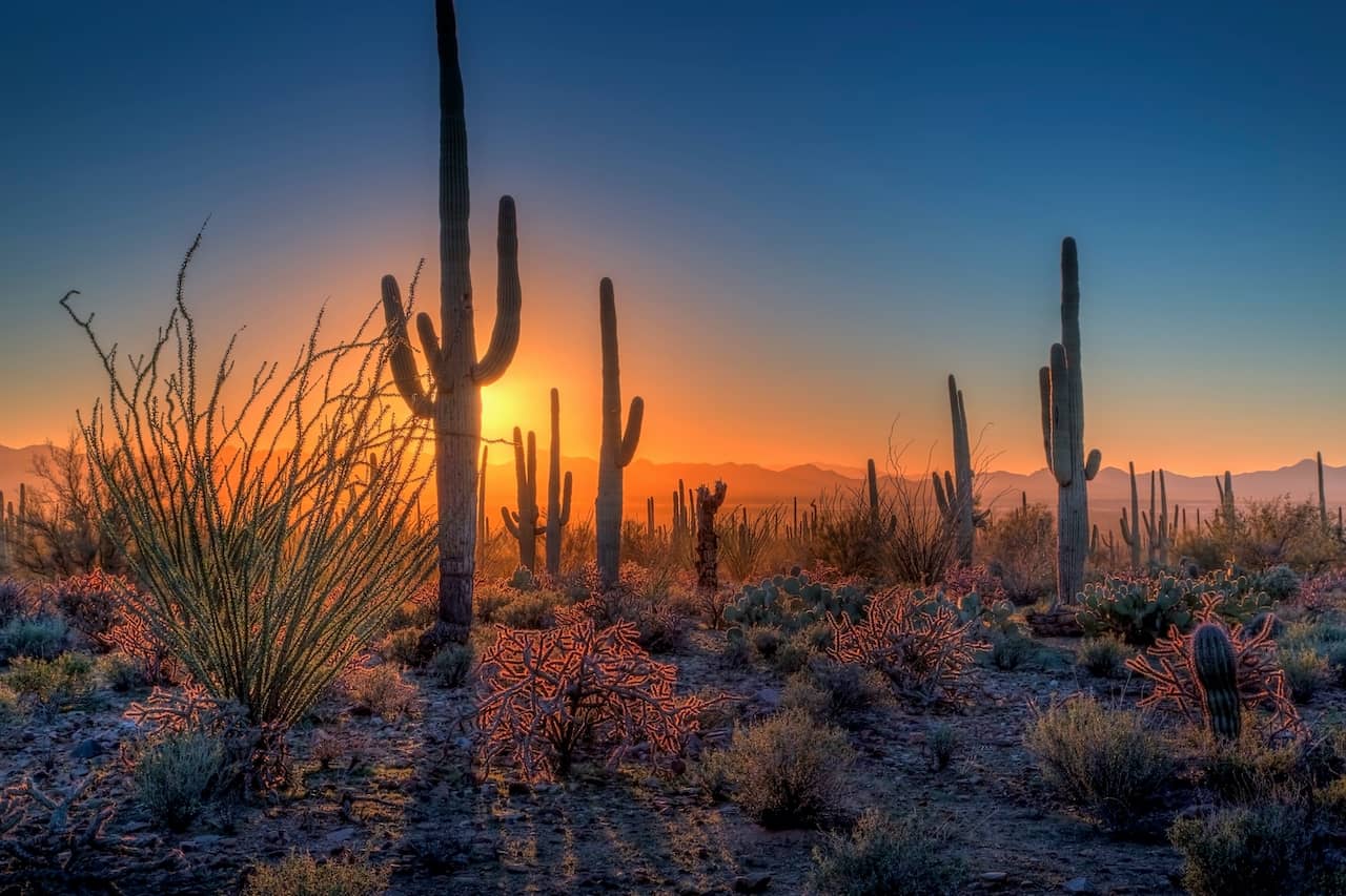 southwest national parks road trip