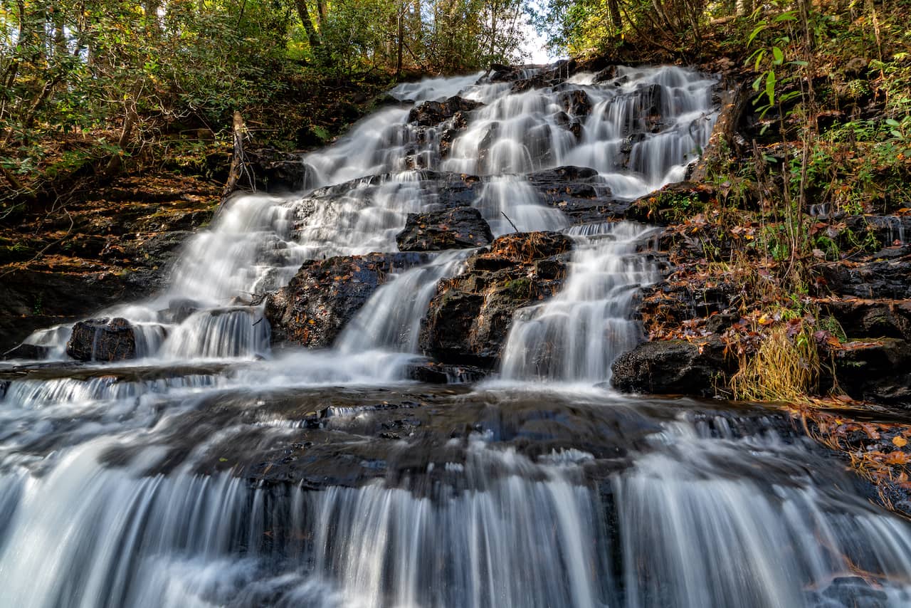 Things-to-do-in-Vogel-State-Park.jpg