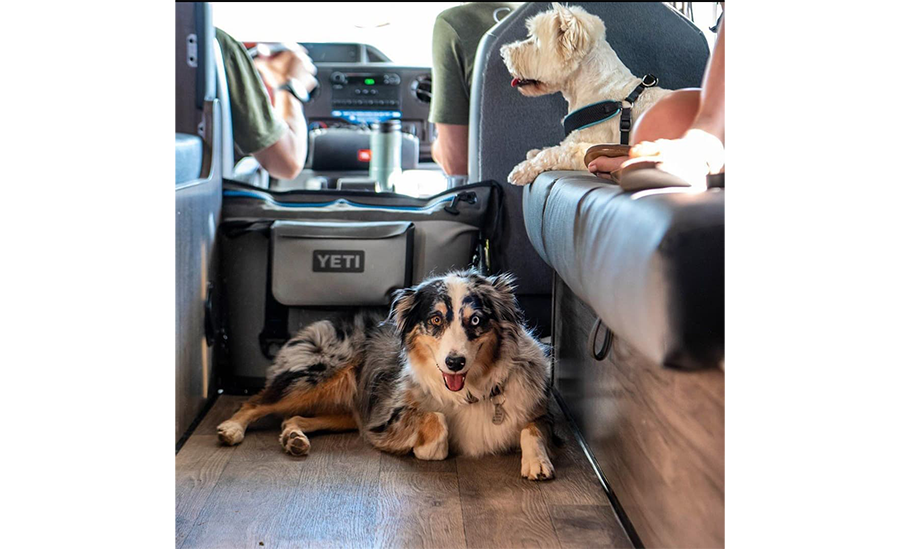 America_Pet-friendly-rv-rental_2.png