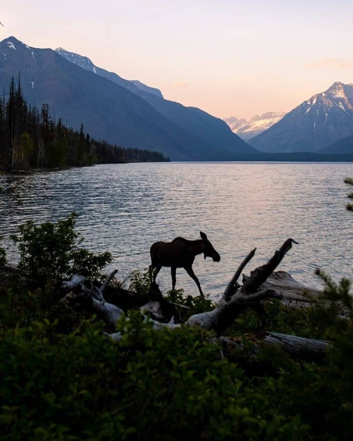 @glaciernps.jpg