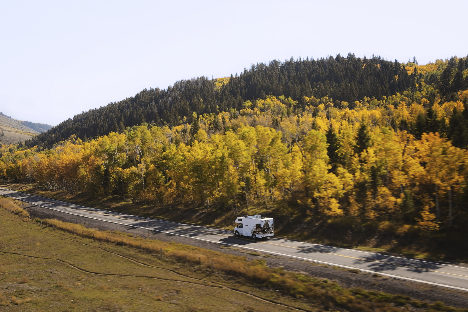leaf peeping
what is leaf peeping