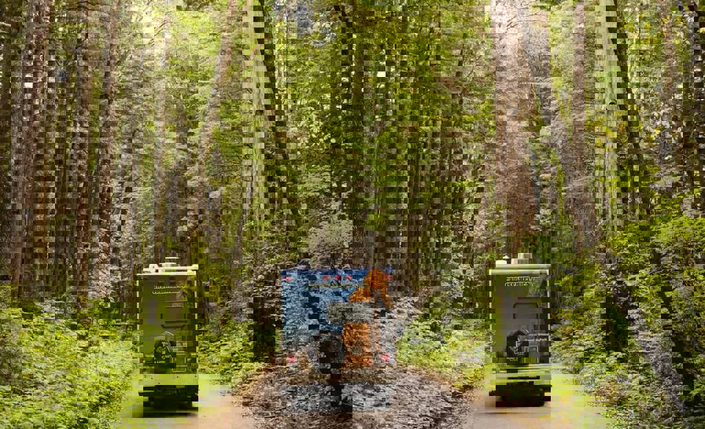 5 Nudist RV Parks in Georgia for Clothing-Optional Campers | Cruise America