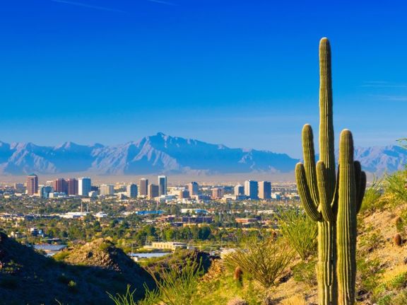View of city of Phoenix with cactus in foreground and mountains in background.