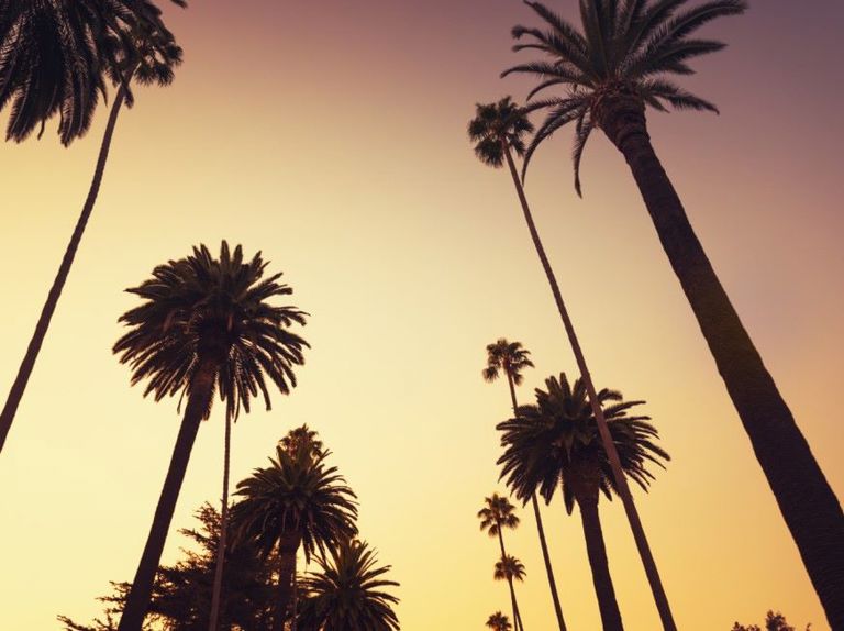 Relocation to Orlando 39 Night Cruise America