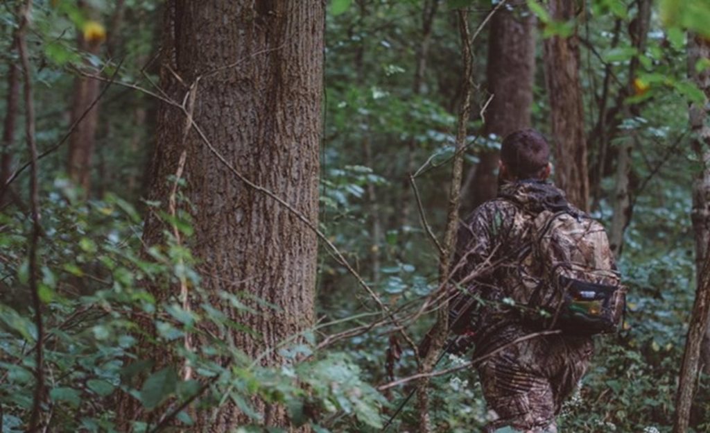 Deer Hunting In Iowa Cruise America