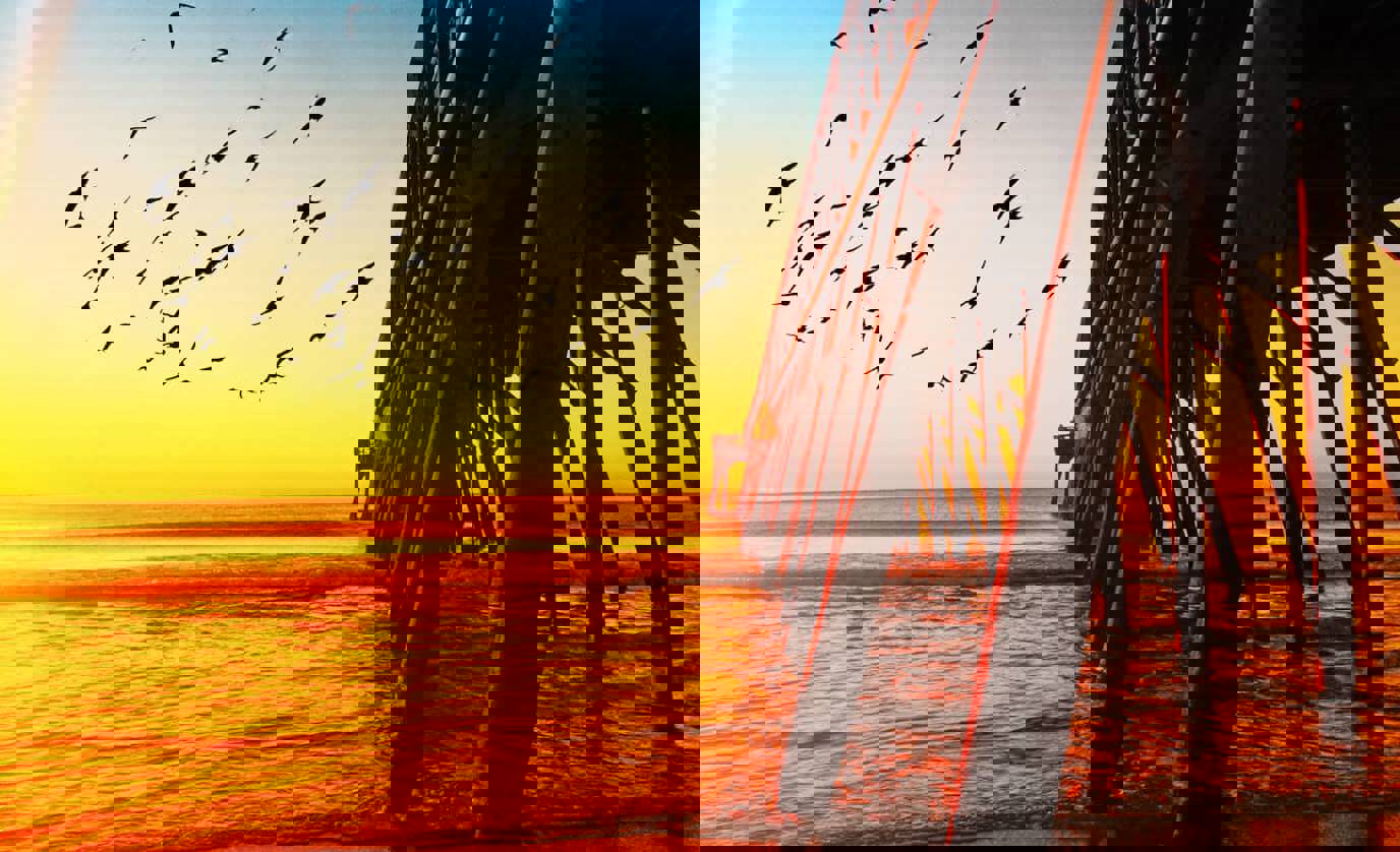 beach RV camping
RV campgrounds on the beach